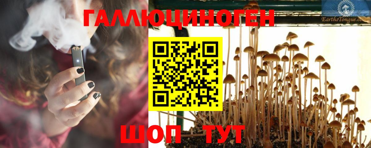 Галлюциногенные грибы GOLDEN TEACHER Стрежевой
